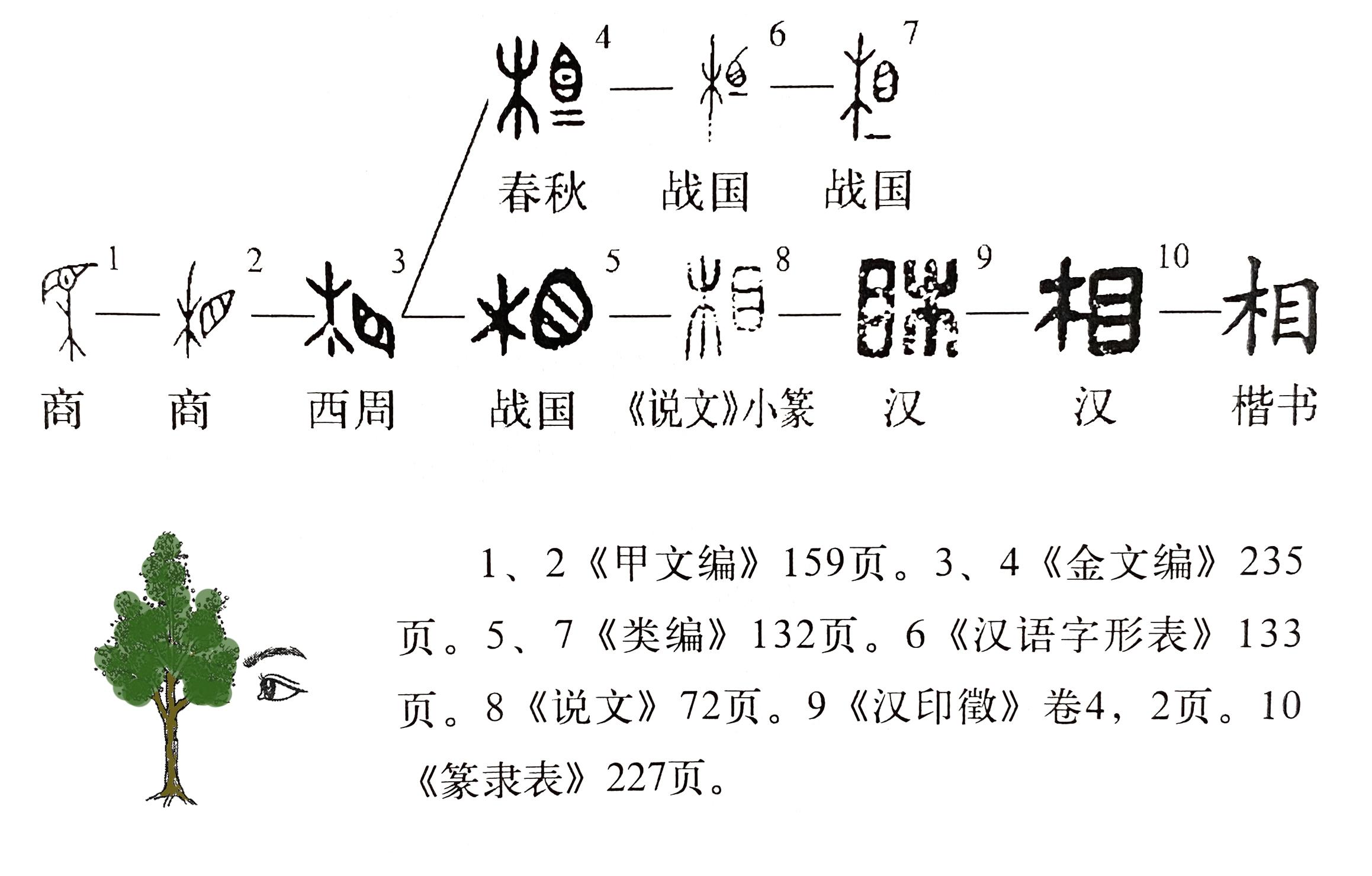 《说文解字》第653课:"相夫教子"的"相"该如何读,什么意思