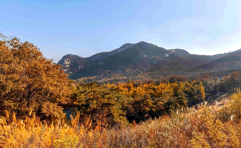 彭山有哪些旅遊景點?