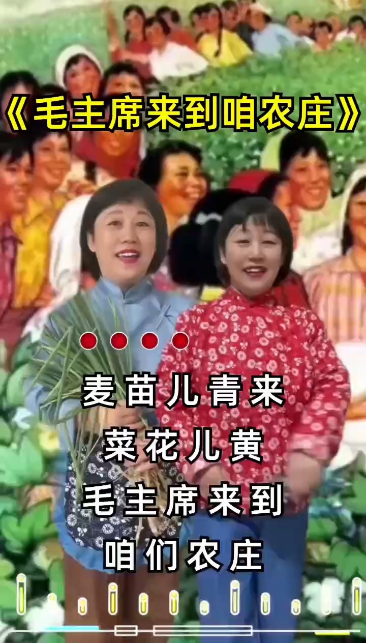 麦苗儿青菜花儿黄词曲图片