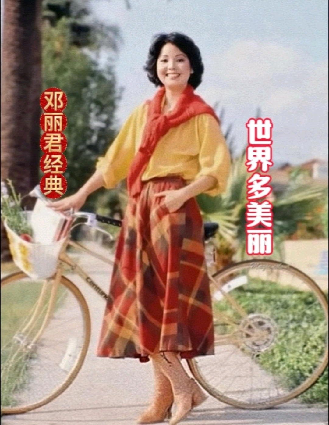 愿您在彩灯映照汤圆漂香的元宵节,从这美丽世界收获满满