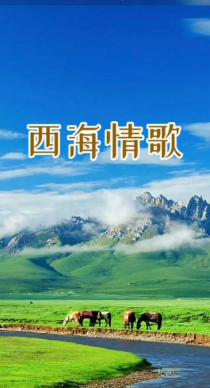 《西海情歌》,可可西里一段凄美的故事-度小视