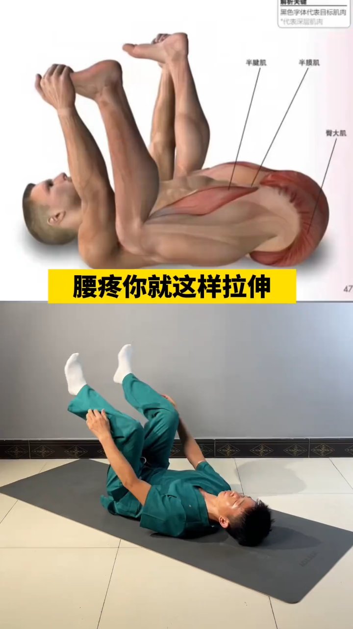 背疼膝盖疼?试试这套拉伸法