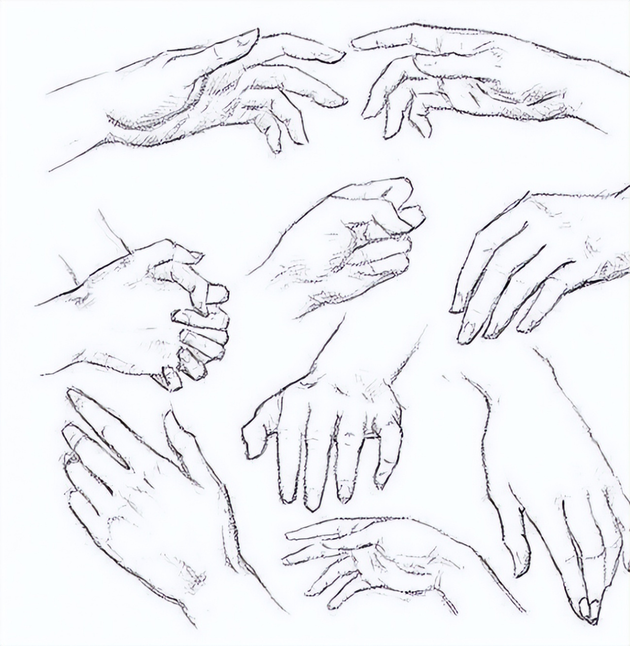 手的各种姿势素描图片