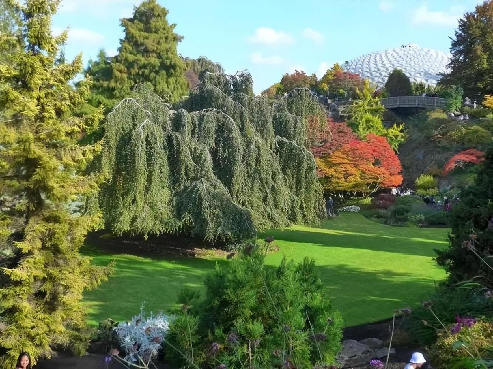 温哥华伊丽莎白女王公园的历史起源,以及在城市发展中的重要作用 引言
