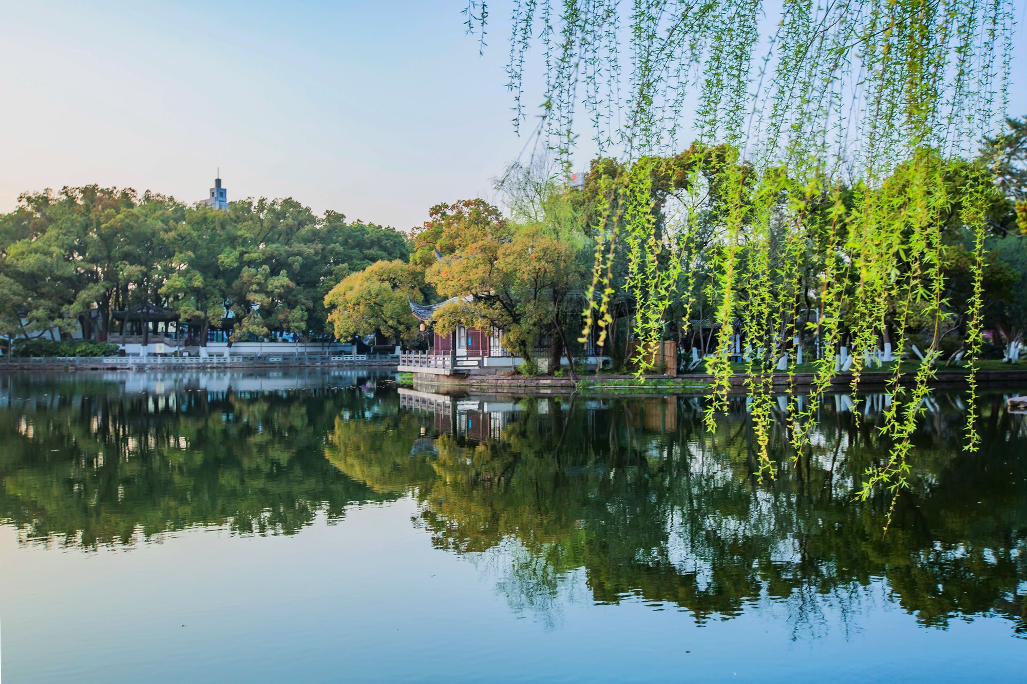 宁波月湖公园,被誉为宁波小西湖,是一处不收门票的5a景区