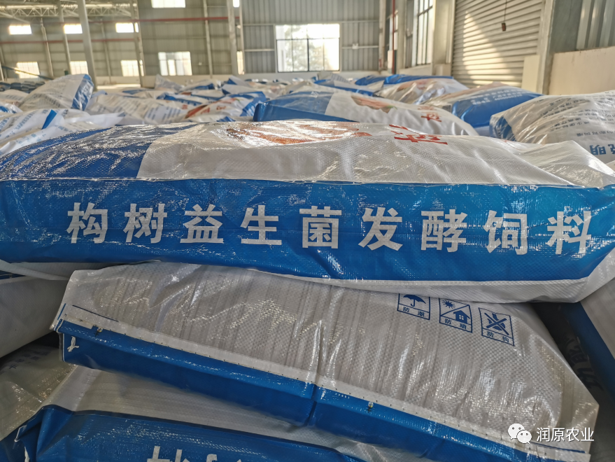 构树饲料喂养4.1亿头猪,12亿只蛋鸡,可节约多少日粮?