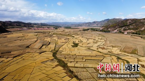 河北隆化湾沟门乡:特色农业发展走上产业振兴路