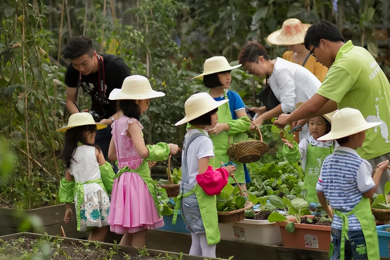 投资成本低的亲子农场,怎么样确保客流和盈利!
