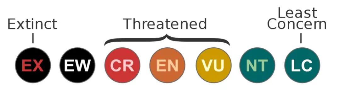 iucn红色名录类别 peter halasz, via wikimedia commons, cc by 2.