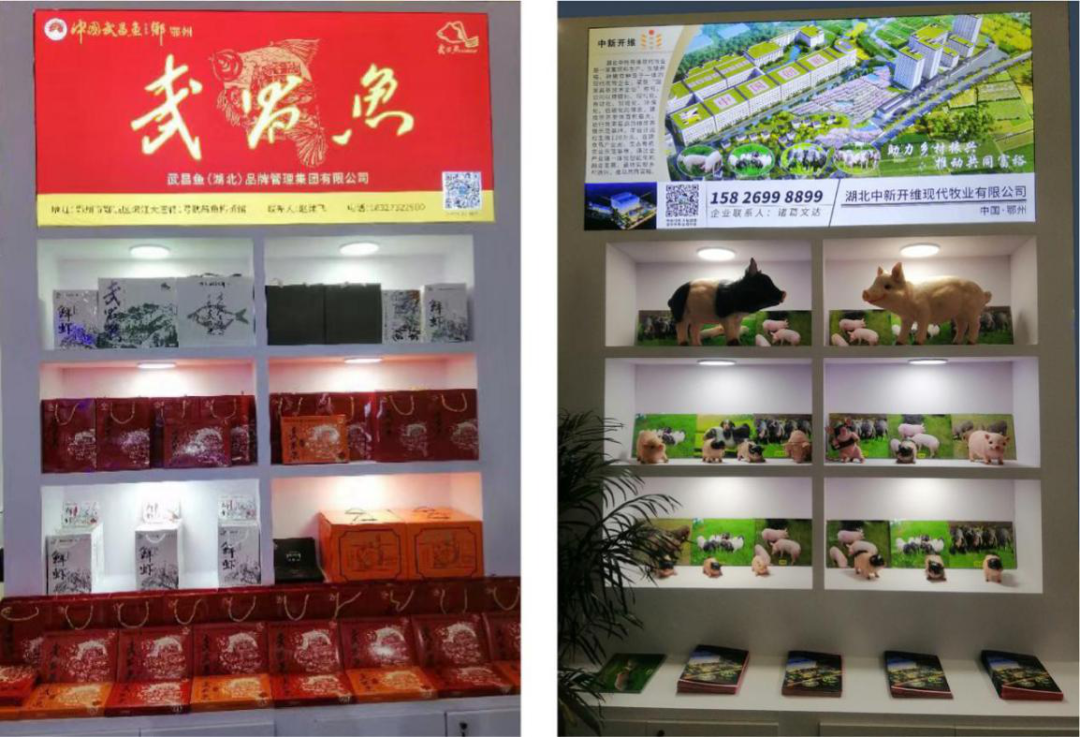 鄂州武昌鱼"京"艳亮相全国农展周!