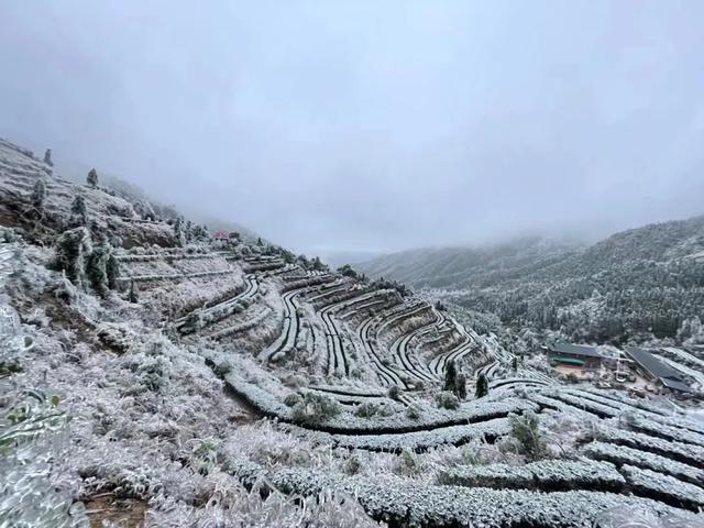 廣州出發-清遠2天遊,連山皇后山賞霧凇冰掛