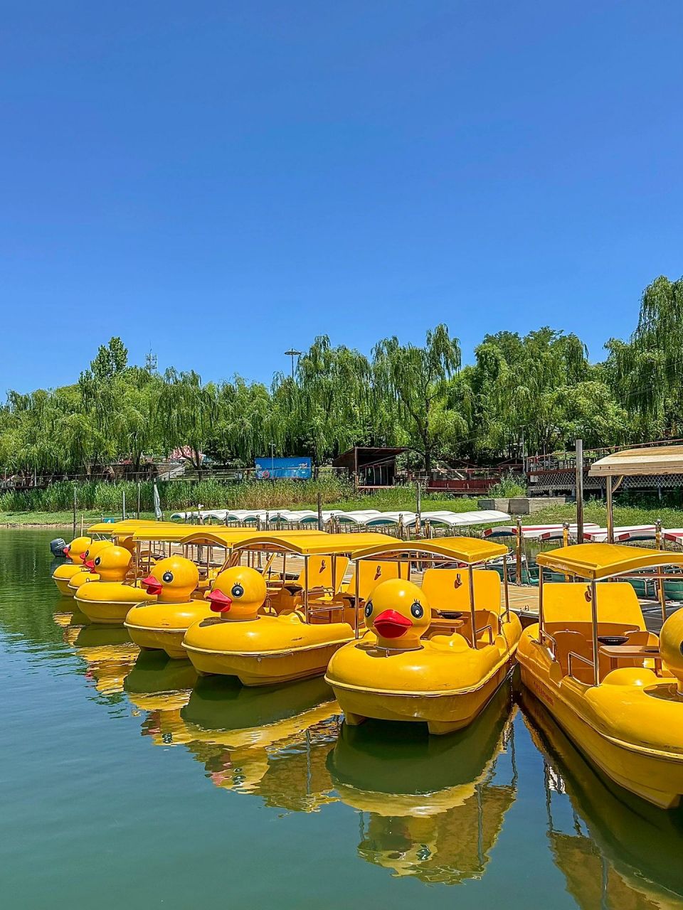 北京直奔雁栖湖这里6015太好玩了…… 从津驱车只要26615小时