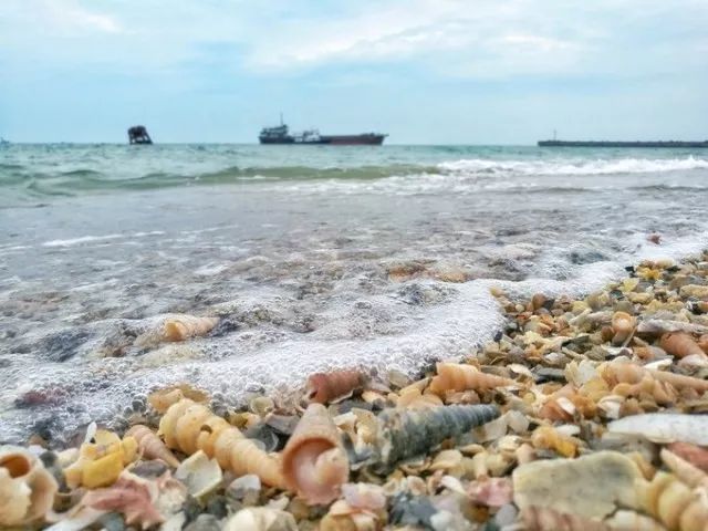潍坊北海赶海最佳位置?