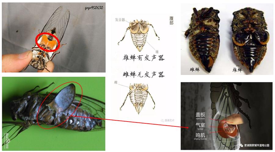 这些夏天的知识你有没有误区?