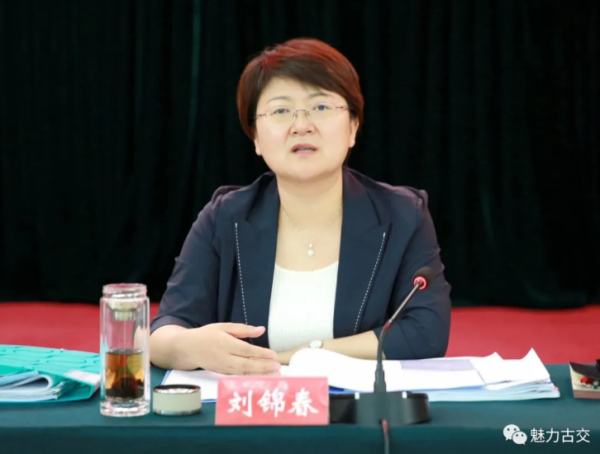 市委副书记,市长刘锦春主持召开市政府2020年第17次常务会议