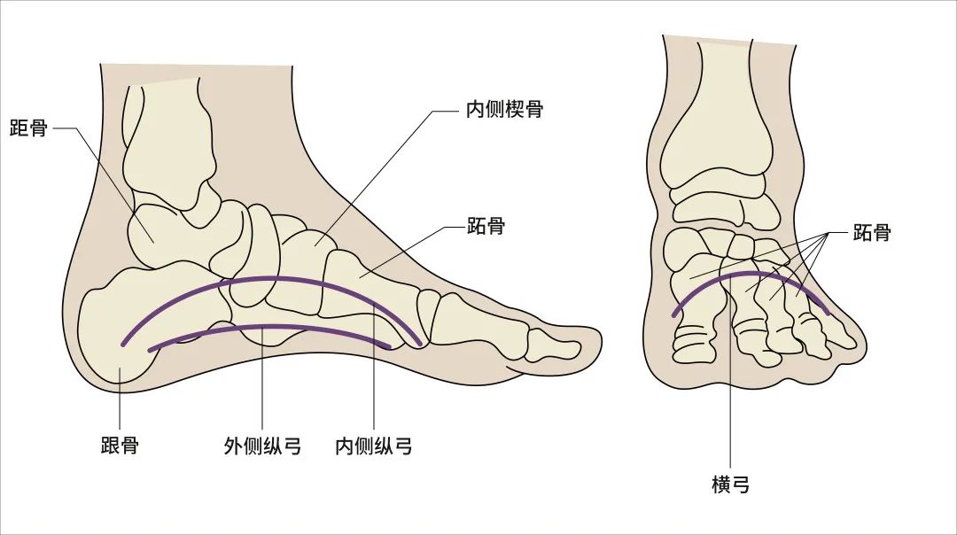 平底鞋不一定更健康