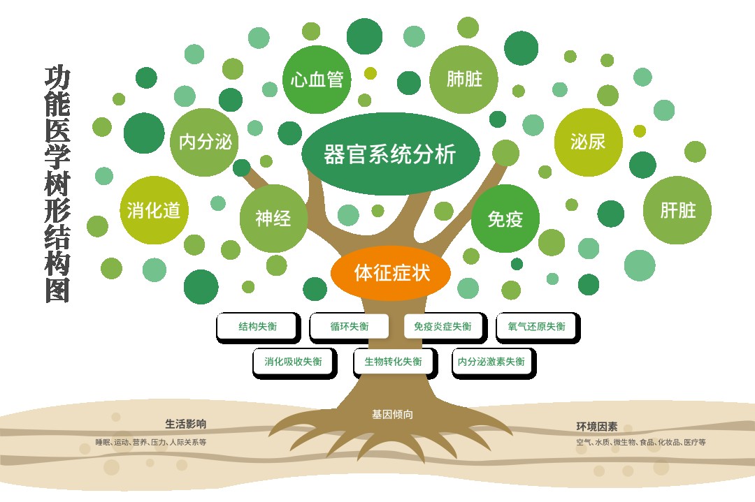 美好生活 健康启程|走进功能医学认识瑞安百年