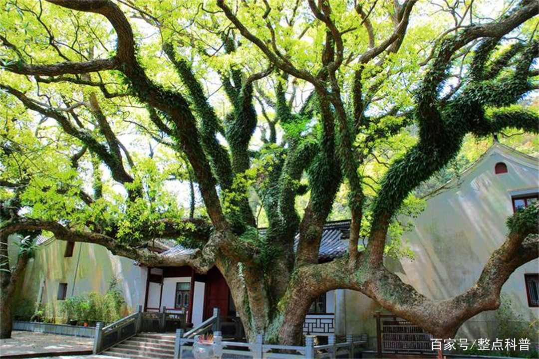 颇有建树 baijiahao.baidu.com
