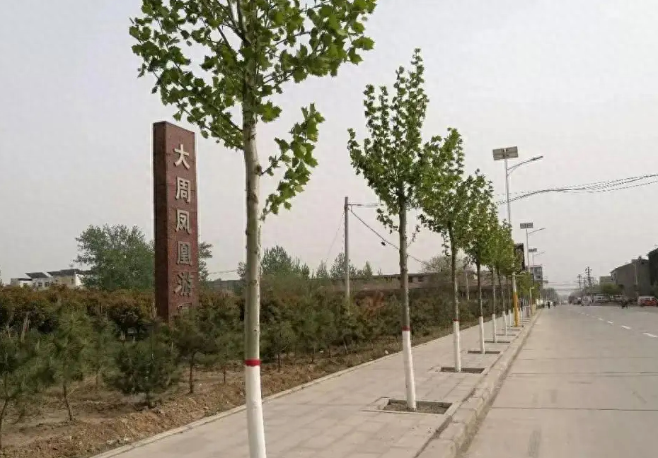 回顾:河南人捡破烂,捡出百亿大生意,长葛市大周镇是怎么起来的