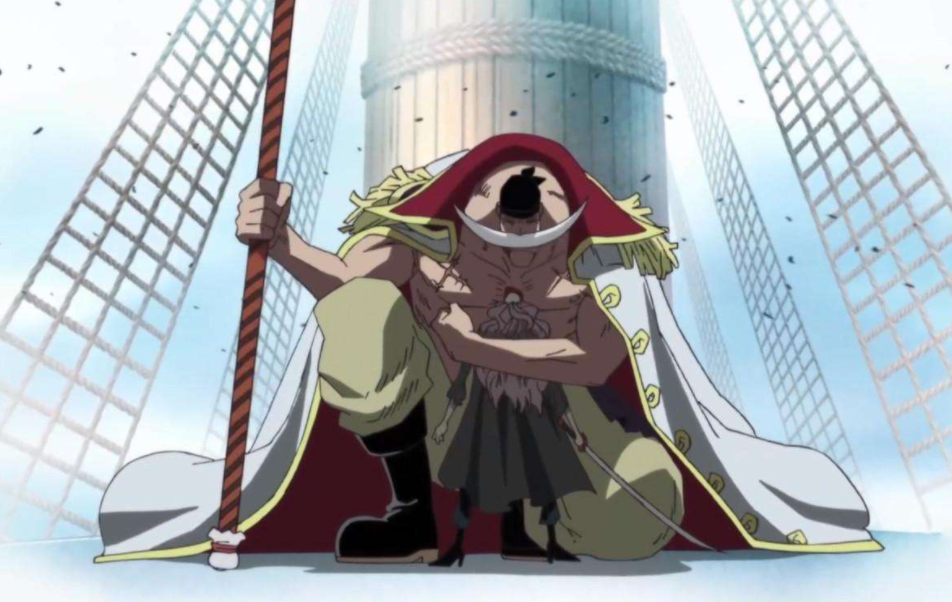 航海王:超新星当中,为何没有人愿意当七武海?