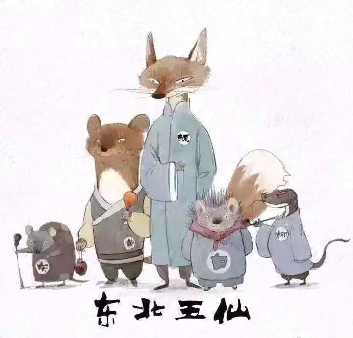 家里供有黄仙,狐仙等保家仙的注意了!