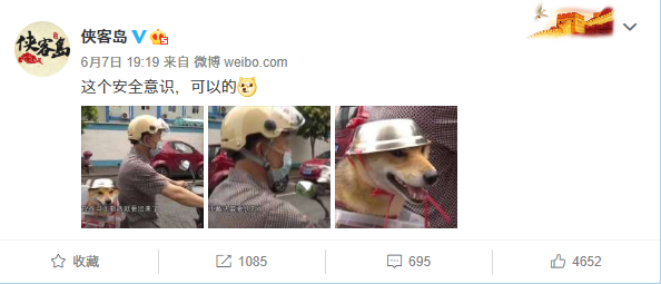 推荐为了骑行安全,连狗狗都戴头盔了!表情包火遍全网,网友:太可爱