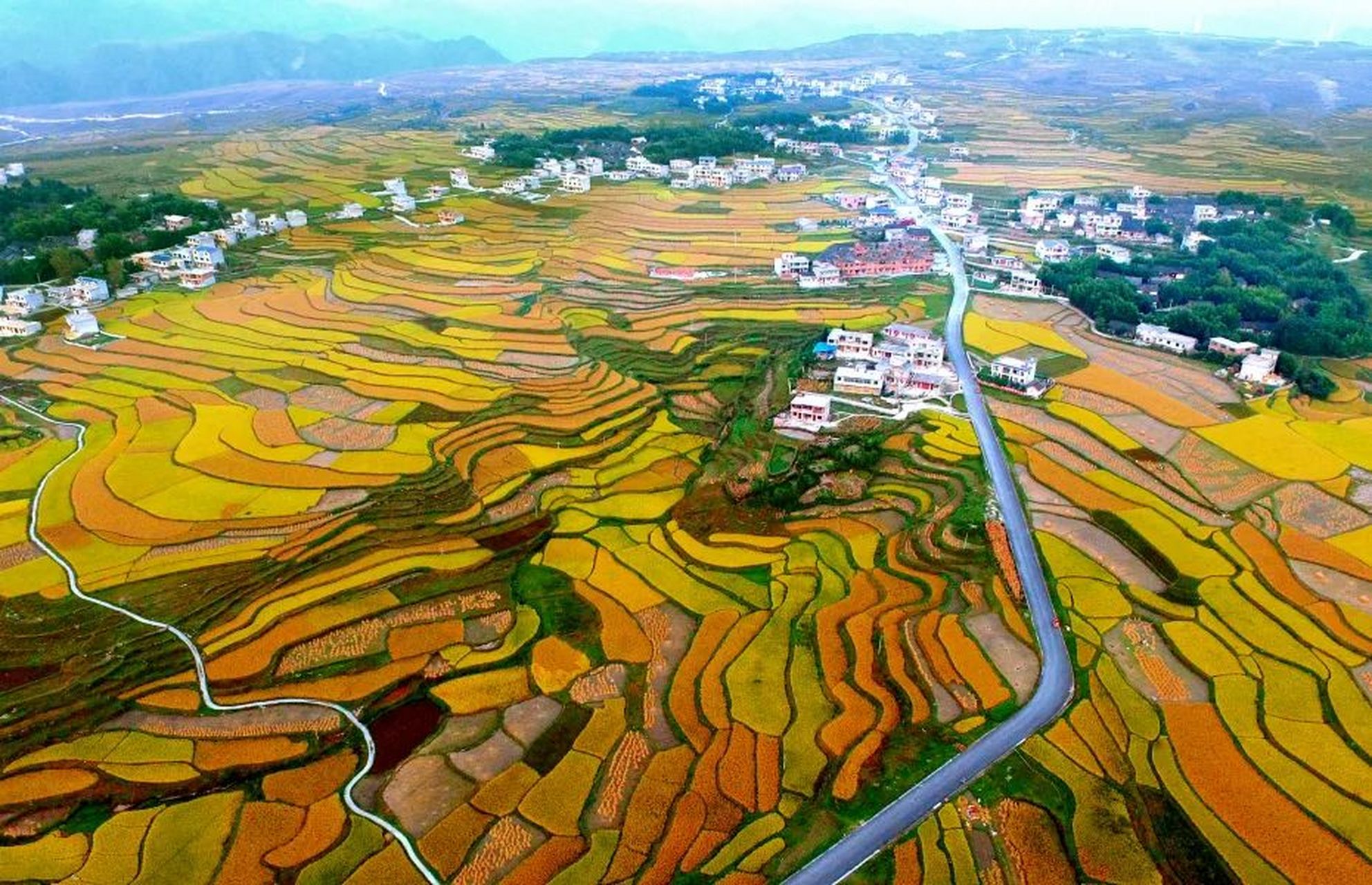 高坡云顶草原位于贵阳市的东南部,海拔达到1500米,是一处高山草甸.