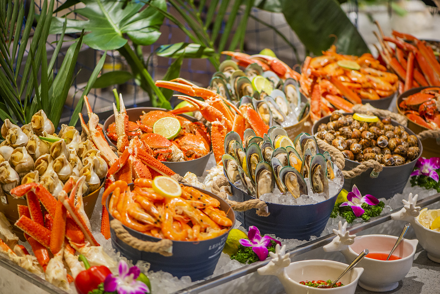 美食季 | 重庆希尔顿逸林酒店西餐厅自助晚餐全新升级