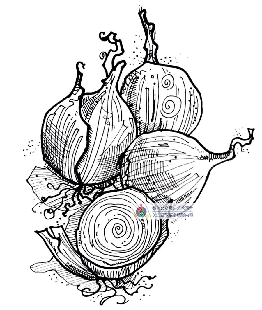 儿童画教程|线描画——" 菜中皇后 "洋葱!