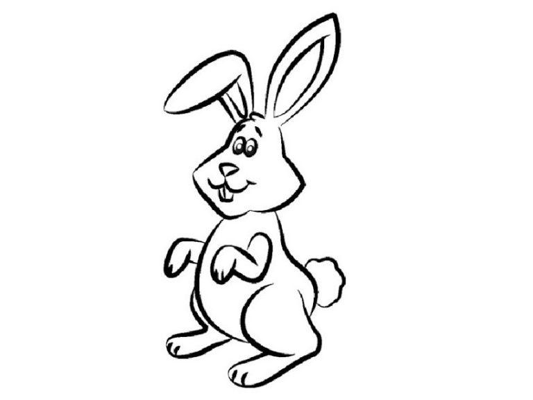 素描兔子的图片(131张)