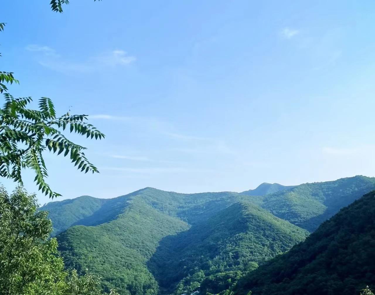 郑州周边小众夏日游玩,端午小长假自驾好去处!