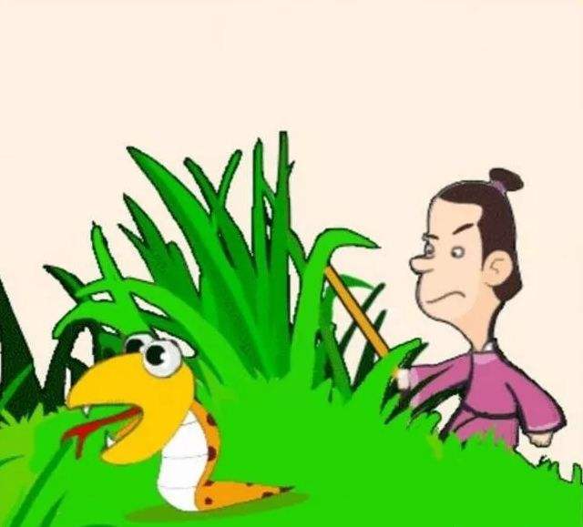 蛇行踪不定,擅长隐匿,为何数量却越来越少?