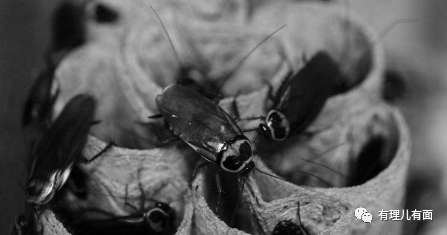 疫情|另有隐情？香港第三波疫情爆发原因果然没那么简单……