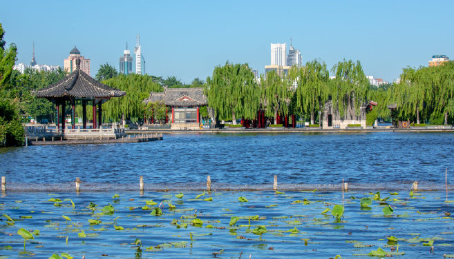 济南初夏的美妙从这些瞬间开始