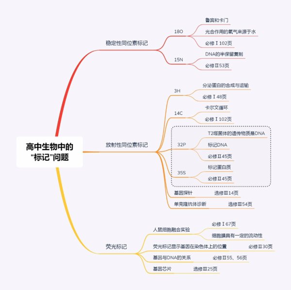 同位素标记法图片