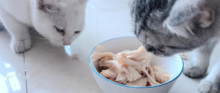 猫咪鸡胸肉怎么煮?要加盐吗