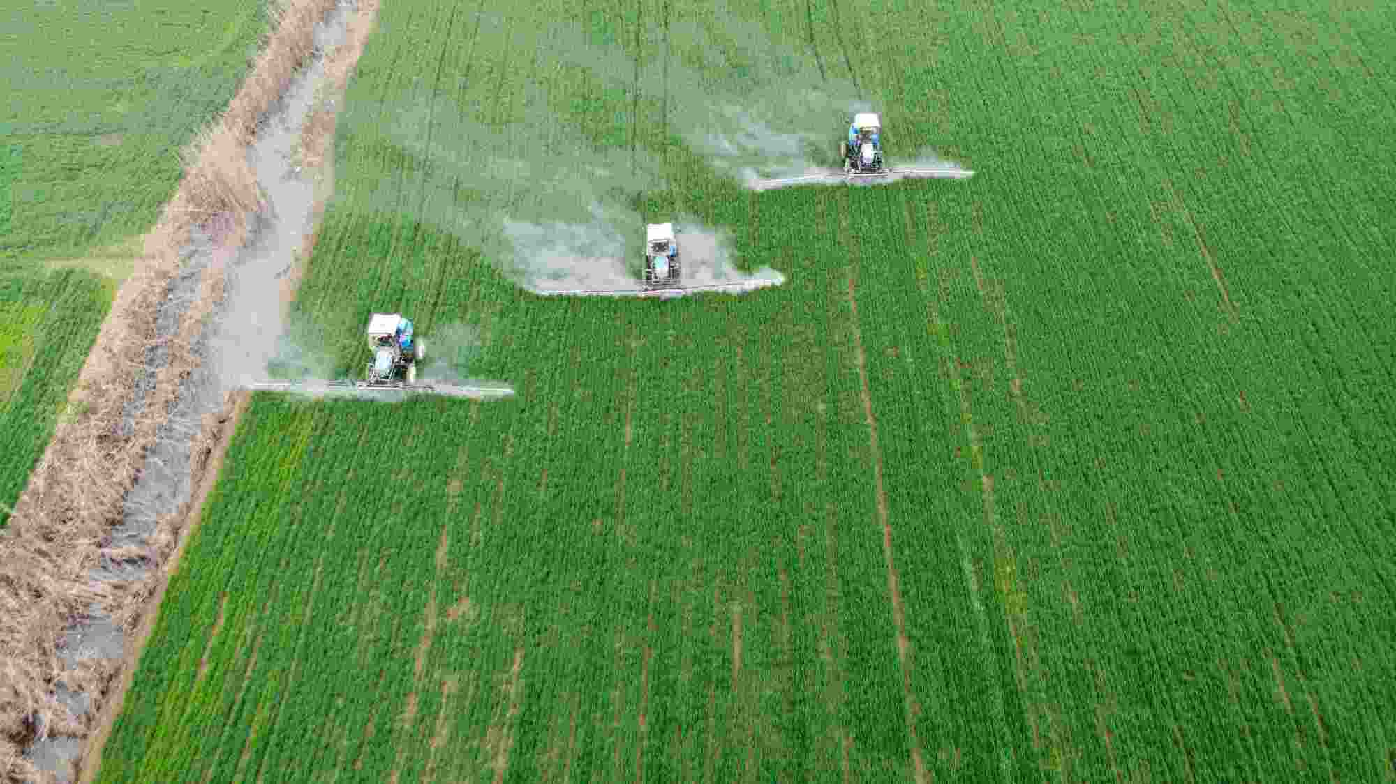 东北地区农业发展有"得天独厚"的优势,也有"隐隐作痛"的缺口