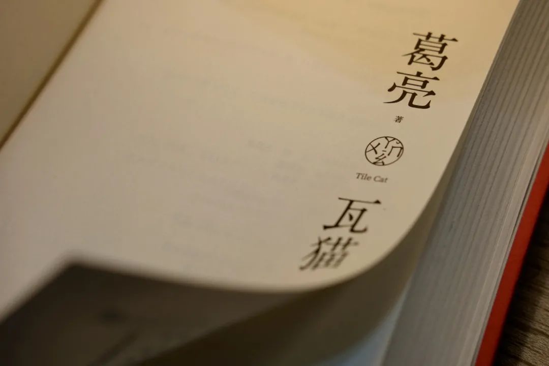 先生书单|《瓦猫》:不为繁华易匠心