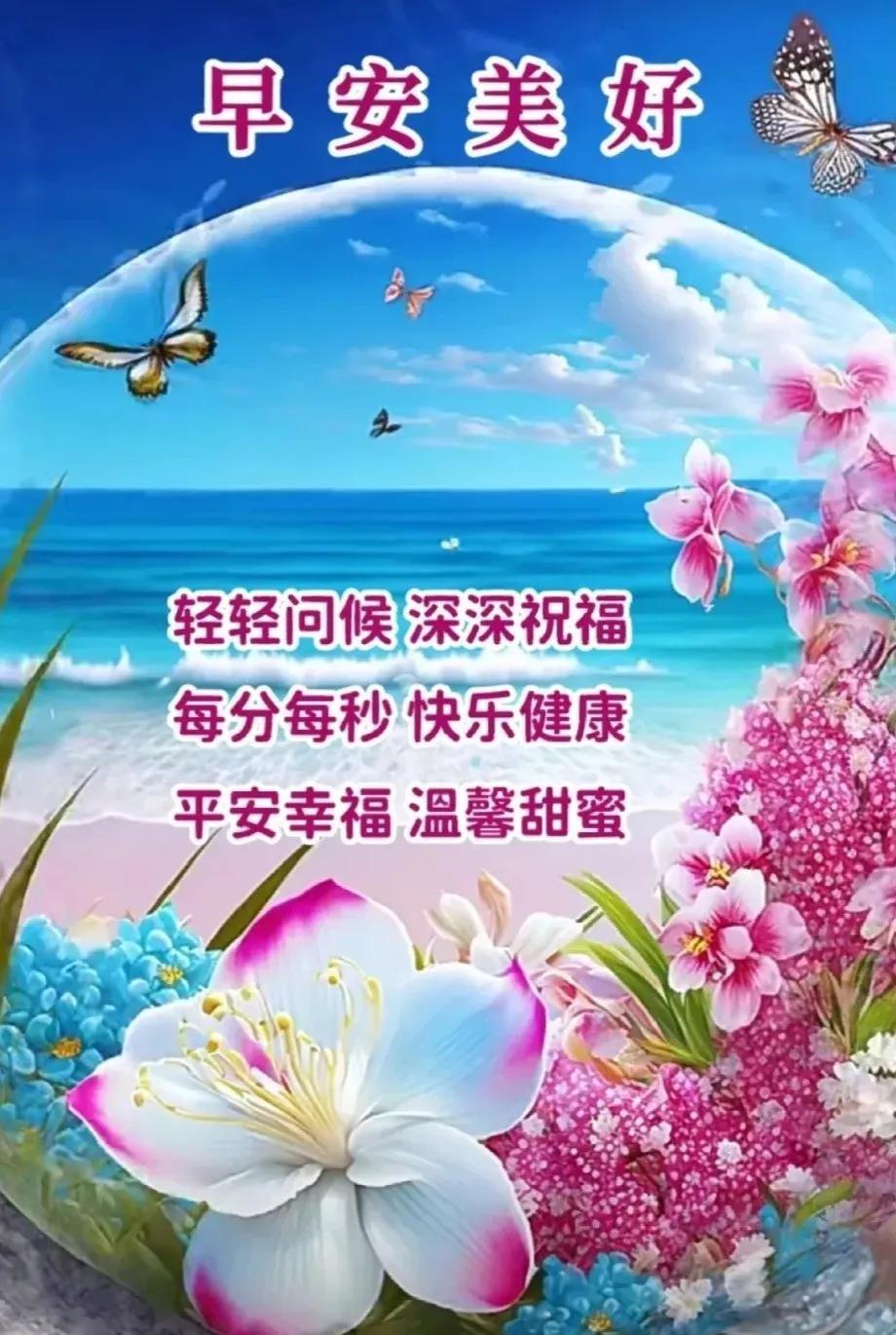 早上好问候语:愿这个快乐的早上孕育全天的幸福,早安!