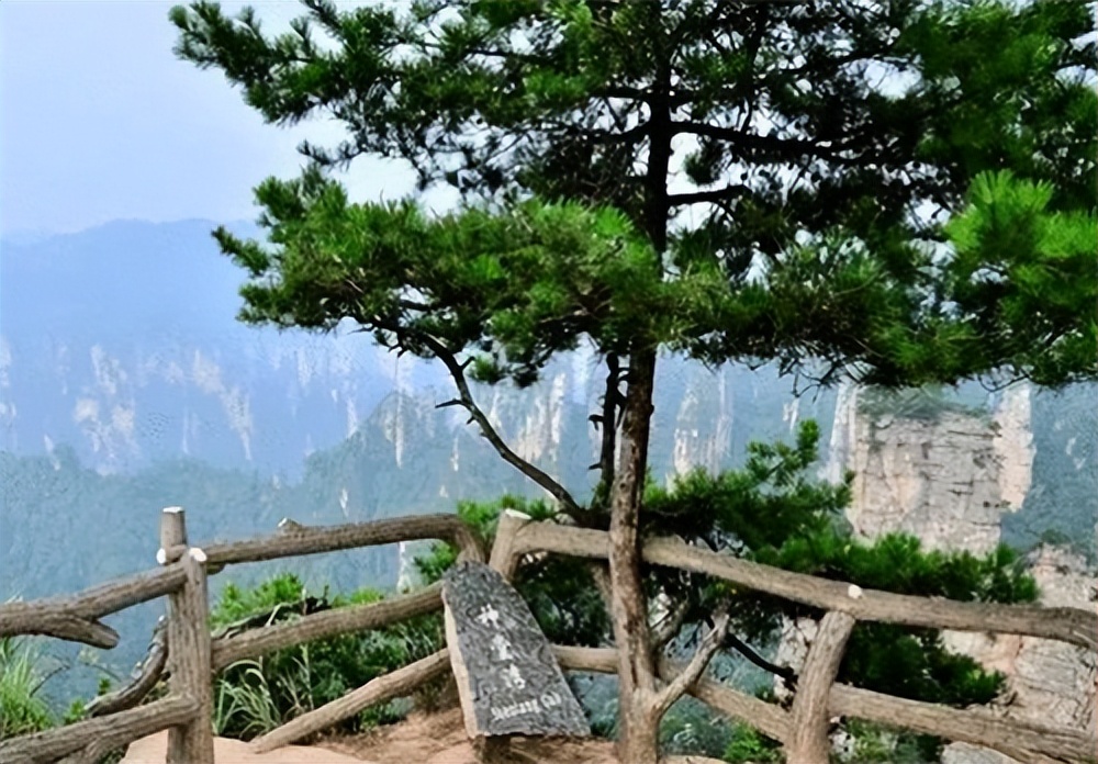 故事|神堂湾有多神奇?地质学家深入谷底,被眼前一幕震撼