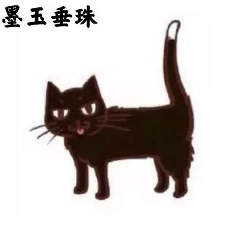 一个小黑猫带给我们什么?