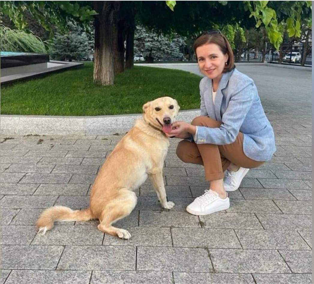 奥地利总统访问摩尔多瓦意外负伤,"凶手"却安然无事?