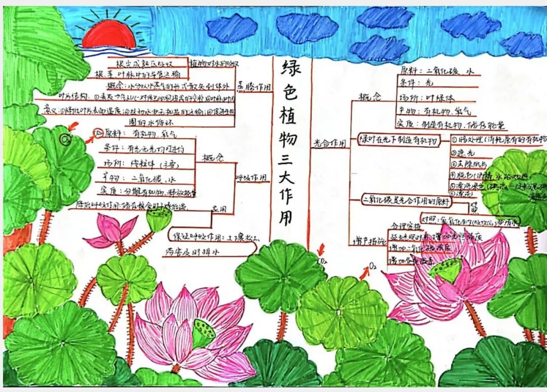 绿的思维导图 内容图片