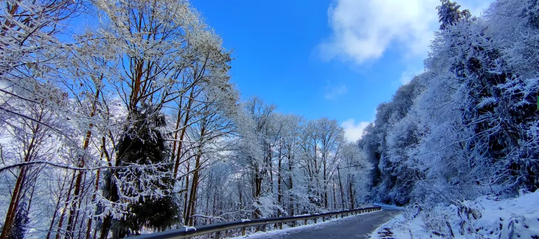 瑞雪兆豐年至此而雪盛矣