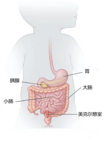 深圳12岁男孩拉了一马桶血进了picu