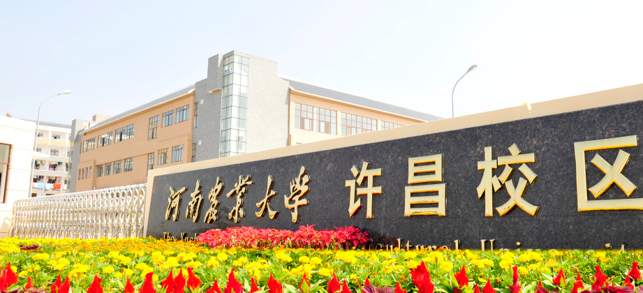 河南农业大学大门图片