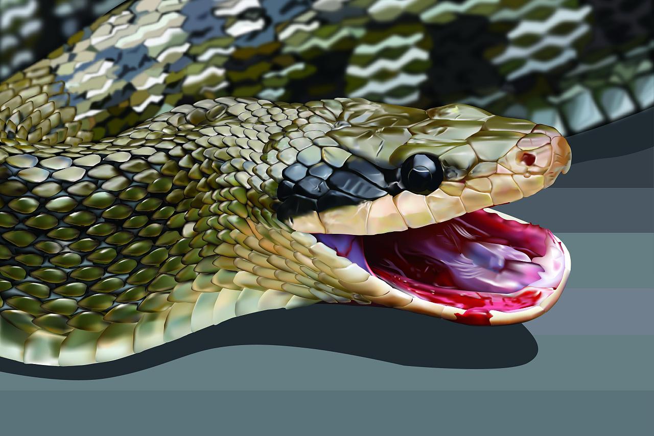 大蟒蛇有多凶猛,人如果被吞,可以进行自救吗?