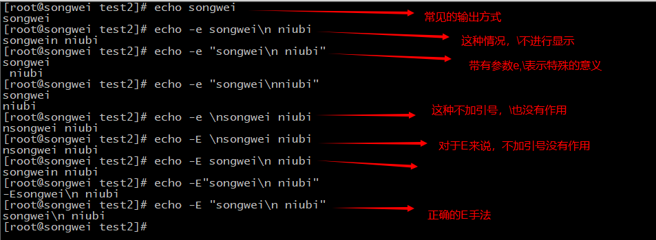 echo在linux中什么意思