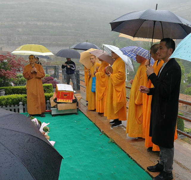 再添新物料,朱小贞去世前已怀孕7周,"绿城保安"竟是和尚?