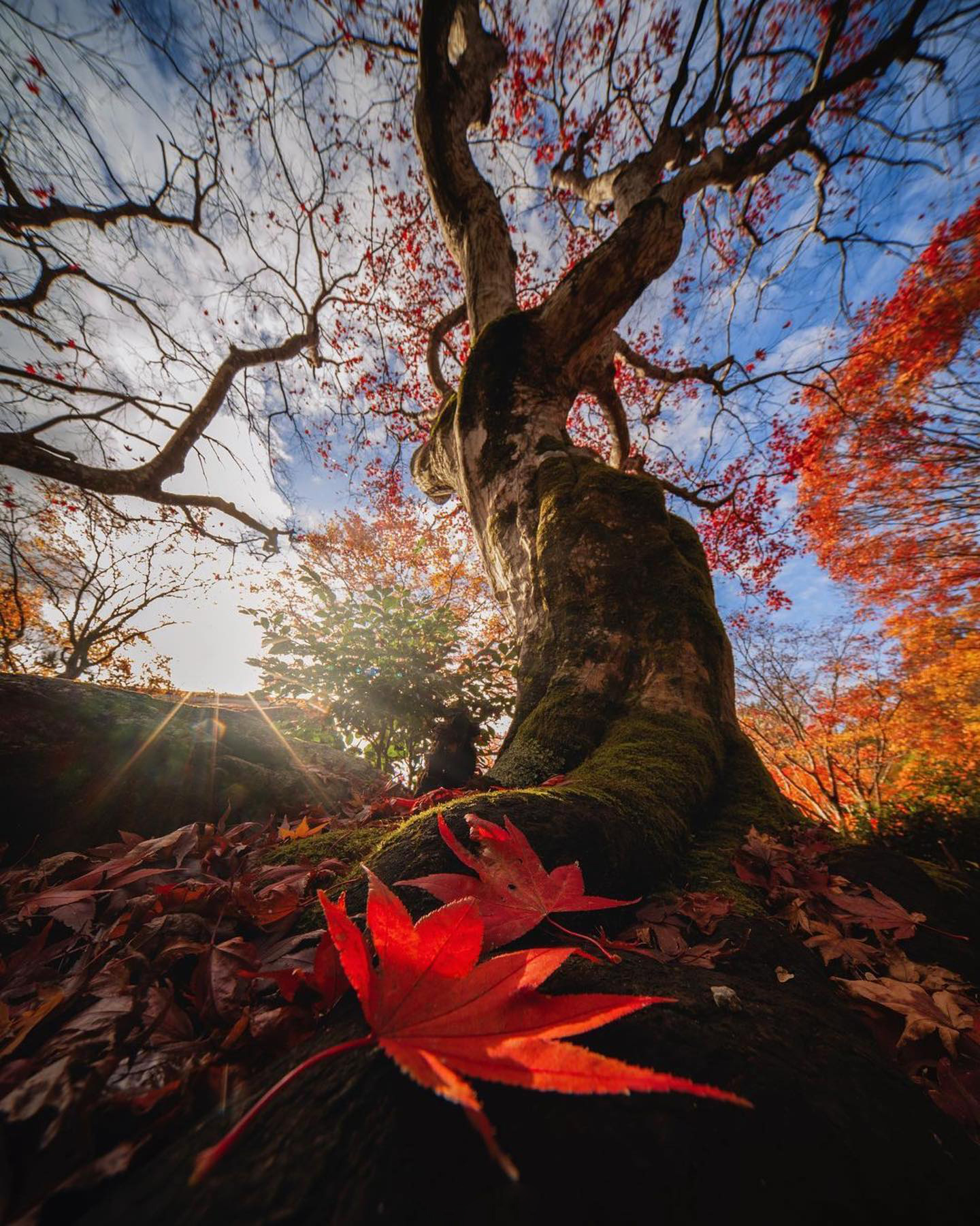 不再胡乱拍,学这6个摄影技巧拍风景,让记录回忆的照片美起来